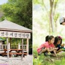 삼원수