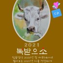 우보만리 이미지