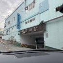 안면도수산시장 회센터 매일수산365 모듬회 회포장 후기 in 캠핑장