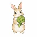 솔빛건강기능식품 | 아티초크 영양제 효능 부작용 총정리! 밀크씨슬과 차이점은? (개별인정형 원료 분석)