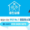 메리 샬롱 이미지