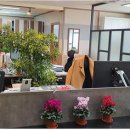 광주고등학교 이미지