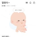 마미캐릭터