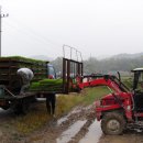 바우농장2 이미지