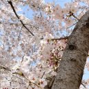 복합생활스포츠타운 이미지