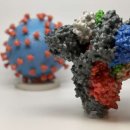 주형메디칼 | 코로바19 백신 주요 3종의 플랫폼 기술