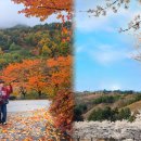 공설운동장 이미지