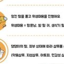 허벌라개 이미지