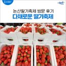 제27회 논산딸기축제 다채로운 구경 가득한 후기!