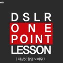 DSLR 패닝샷 촬영 노하우 이미지