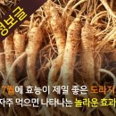 7월에 효능이 제일좋은 도라지 자주먹으면 나타나는 놀라운 이미지