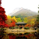 빛과 그림자 이미지