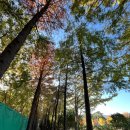 좌동산책길 이미지