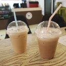 코코애견 이미지