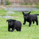 올림푸스원 이미지