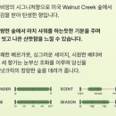 비욘드플로