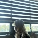 나린태권도장 | 종강종캉종