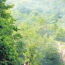 산이랑-호수랑 이미지