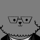 톰퍼피 강아지분양 이미지