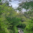 서광여행사 - 용인시 처인구 | 제주 올레길 후기 │ 초록의 심연을 걷다