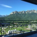 로카와 델피노2 이미지