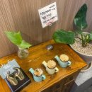 광산구-041 이미지