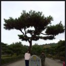 부소산성 남문지 이미지