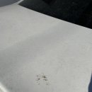 산내셀프세차장 | [대전 문창점 워시킹]대전 워시킹 프리미엄 노터치 자동세차 후기