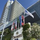 사이존호텔 | [멕시코 여행] 신혼여행 칸쿤편 7-9일차 호텔존 시크릿더바인 여인의섬, 정글투어, 칸쿤 시내 체드라우...