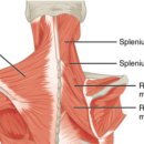 힘찬한의원 이미지