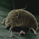 거북이한의원 이미지