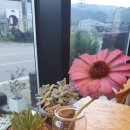 바리깡스타 이미지