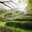 두륜산도립공원 관리사무소 이미지