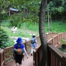 수정4동체육공원 이미지