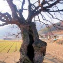 남산리
