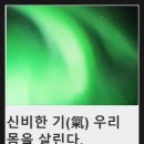 헬스N코스