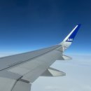 mini | 파리 여행 day1 : 폴렌느 Polène Cyme mini 후기/ 프렌치 레스토랑 De La Tour Dinner