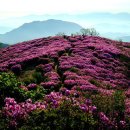 황매산 철쭉행사중에 특별산행 계획중임...참고 하세요 이미지