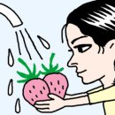 포인트 Daum카페