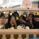 추억82 이미지