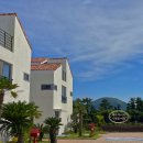 비자림빌리지1 이미지