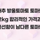 토마토2
