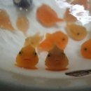 초록세상 이미지