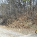 포항시북구29 이미지