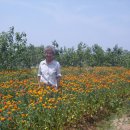 원빈농장 이미지