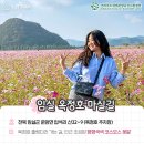 진안읍 1377 이미지