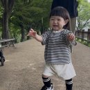 금소생태공원2 | 진해 내수면환경생태공원 아기랑산책 2번째방문후기