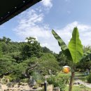 문수우체국(앞) 이미지