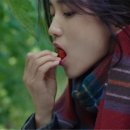 포레스트 이미지