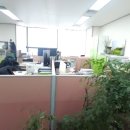 김기태법무사행정사 이미지